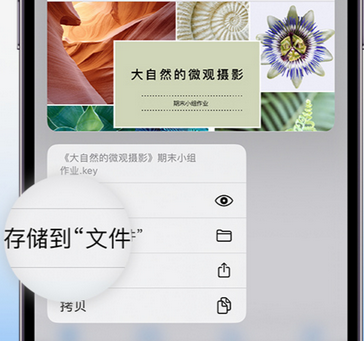 泉山apple维修中心分享iPhone文件应用中存储和找到下载文件