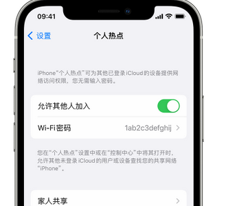 泉山apple服务站点分享iPhone上个人热点丢失了怎么办 