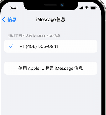 泉山apple维修iPhone上无法正常发送iMessage信息 