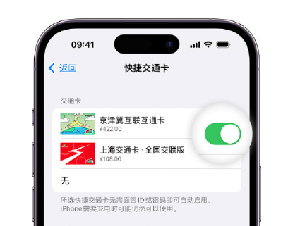 泉山apple维修点分享iPhone上更换Apple Pay快捷交通卡手绘卡面 