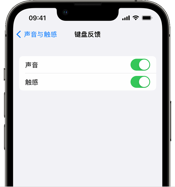 泉山苹果14维修店分享如何在 iPhone 14 机型中使用触感键盘 