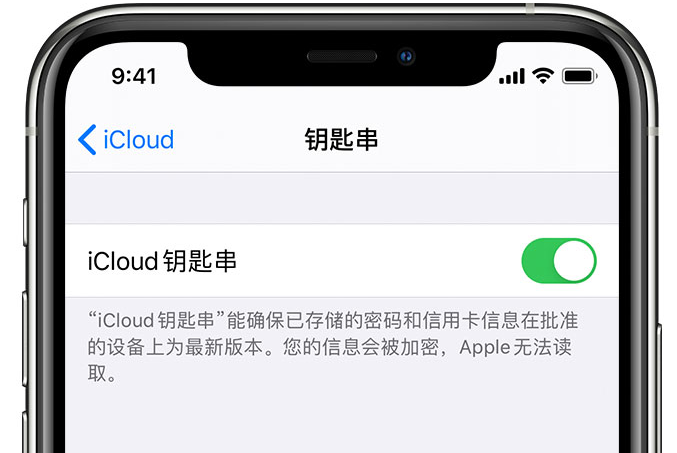 泉山苹果手机维修分享在 iPhone 上开启 iCloud 钥匙串之后会储存哪些信息 