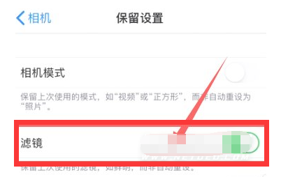 泉山苹果13维修分享iPhone13拍照有绿点是怎么回事 