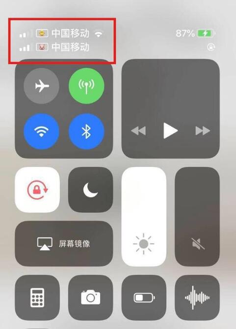 泉山苹果手机维修分享为 iPhone 12 双卡设置标签 